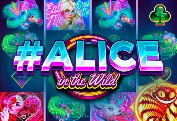 Vive la emoción del casino Spinauracasino con dealers en directo